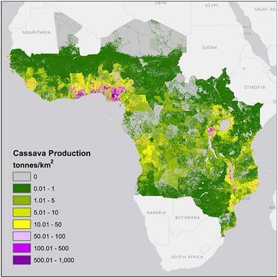 Transnational innovation systems for bioeconomy: insights from cassava value chains in East Africa